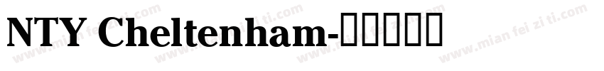 NTY Cheltenham字体转换
